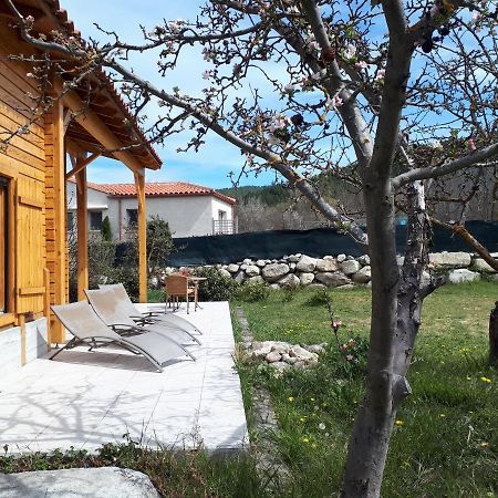 Chalet Mont Canigo Villa Corneilla-de-Conflent Kültér fotó